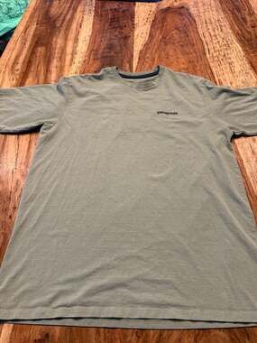 Patagonia Men's P-6 Logo Responsibili-Tee Sage Green Medium